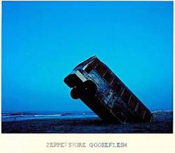 Zeppet Store : Gooseflesh